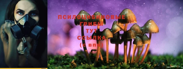 прущая мука Чита