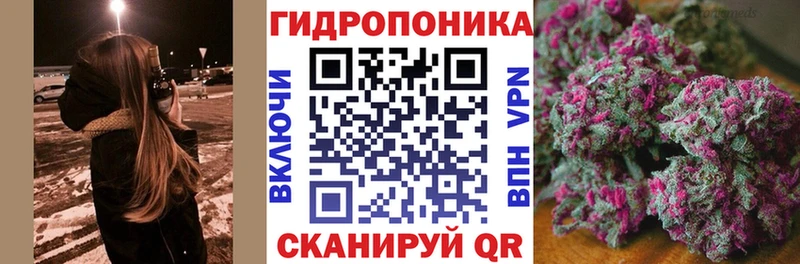 Каннабис план  где купить наркотик  Ак-Довурак 